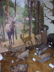 muzeum 18.jpg